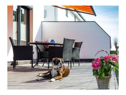 Breege House | Three-master house no 3