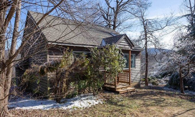 Lyndhurst Apartment | Three Ridges Cabin-kitchen, fireplace, jacuzzi
