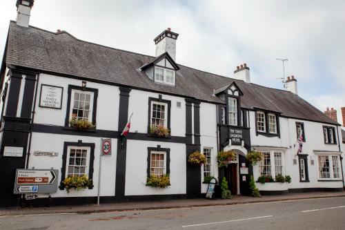 Usk Hotel | Three Salmons Hotel