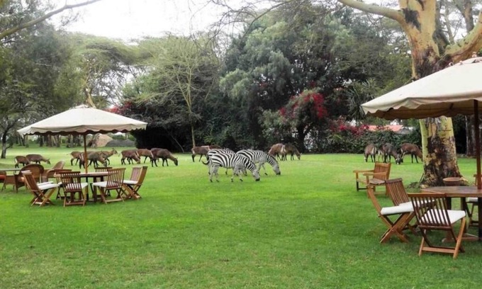 Naivasha Hotel | Three Ultimate Getaway Room for Animal Lovers, with Scenic Outdoor Patio