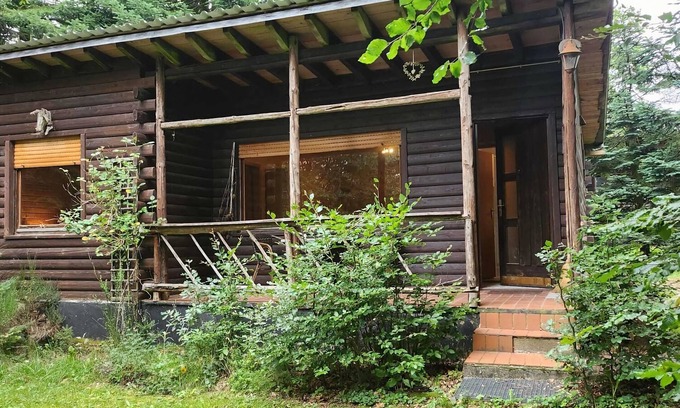 Halenfeld Ski Chalet | Tidy furnished wooden chalet near the forest