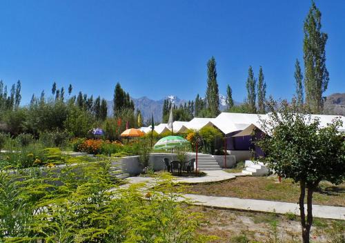 Nubra Valley Other | Tiger Camp Nubra