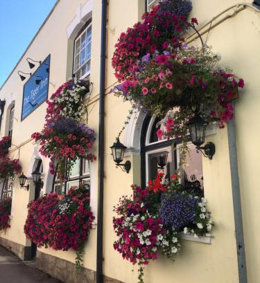 Bridport Hotel | tiger inn