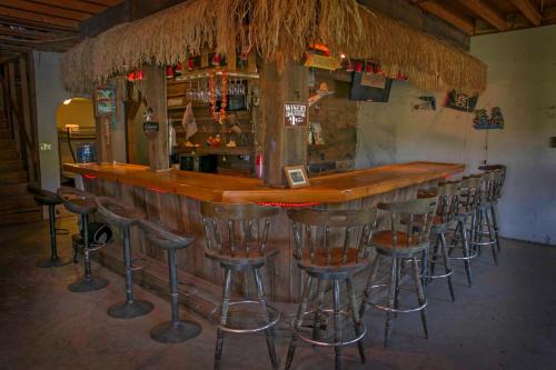 Hammondsport House | Tiki on the Lake