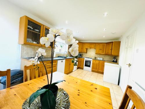 Tillicoultry Apartment | Tillicoultry Jupiter Apartment - Scotland Holiday Let