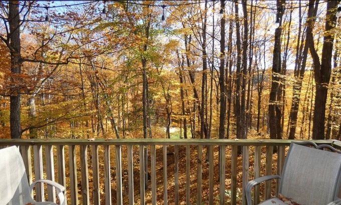 Bellaire Condo | Timber Ridge Retreat