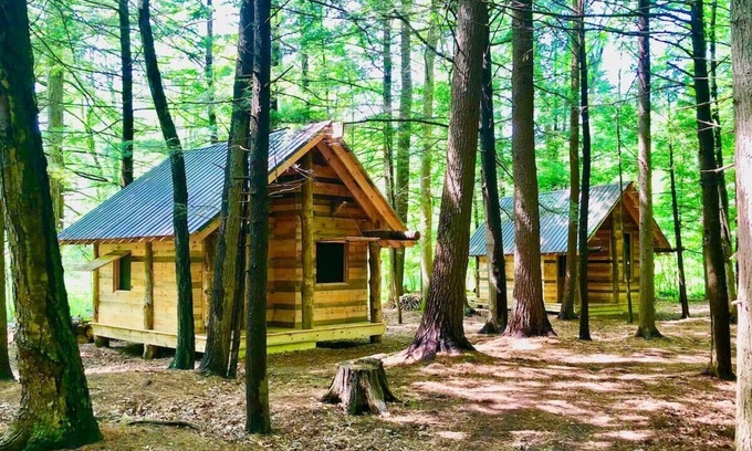 Newtonville Cabin | TimberTown Cabin #2 at June Farms, GLAMPING at it's finest!