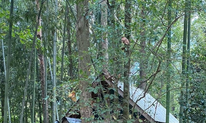 Athens Cottage | Tin Roof Rusted tiny house -2.5 miles to downtown, quite, secluded and private!