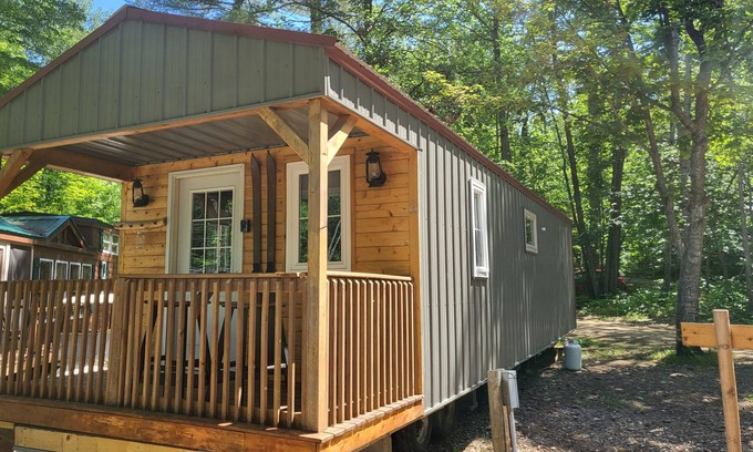 Nevis Cabin | Tiny cabin in towering pines, with lake view. Pets accepted!