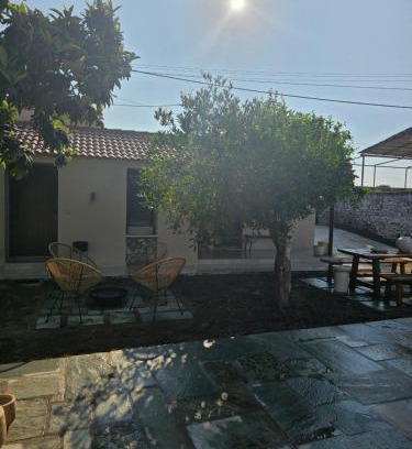 Nafpaktos House | Tiny Cottage lemon & pies