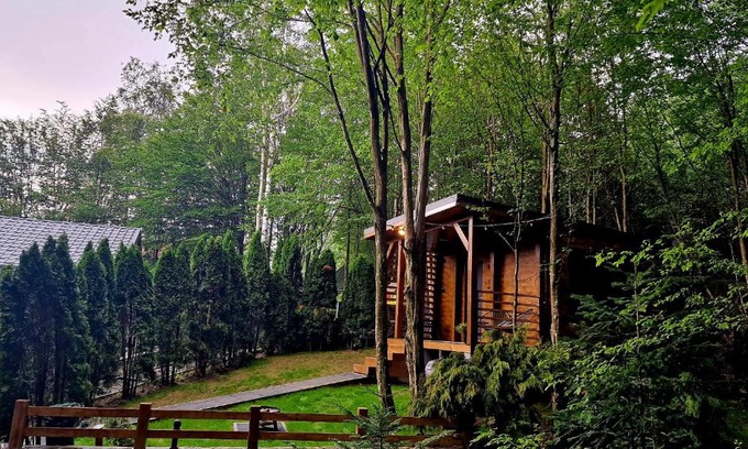 Valiug House | Tiny House 4 Two