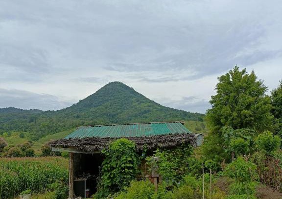 Sekongkang House | Tiny House Balas