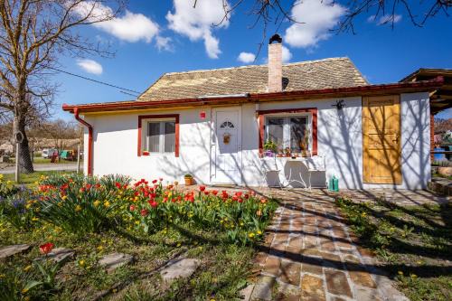 Zmajevac House | Tiny House Kućica