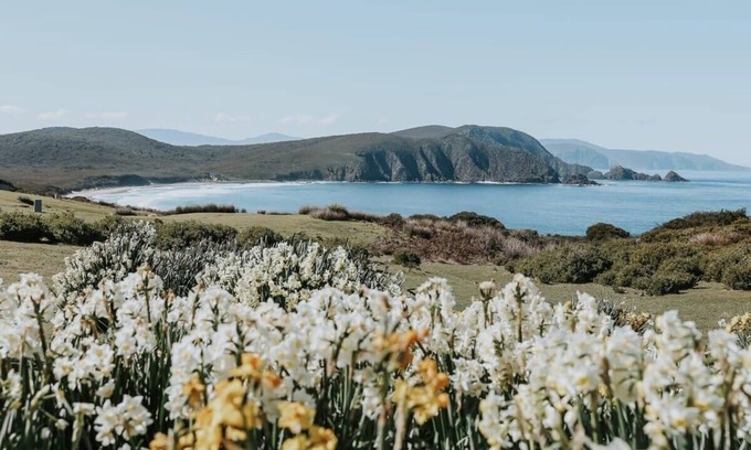 South Bruny Cabin | Tiny Percival Summary