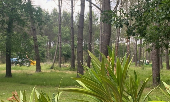 Brach House | Tinyhouse Zwischen Bordeaux&meer