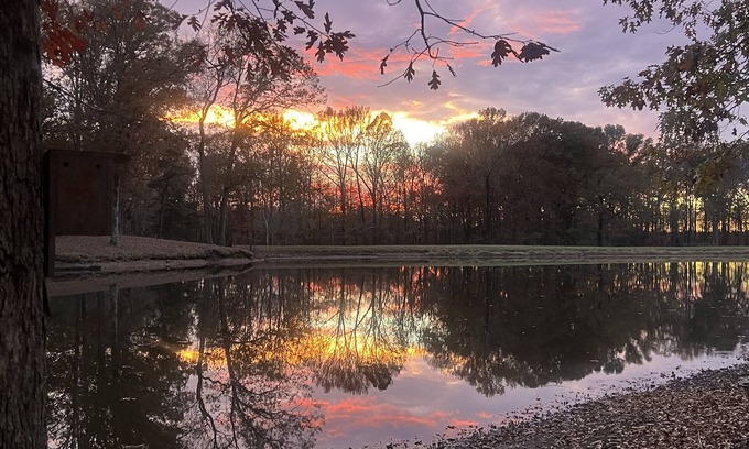 Oakland Cabin | TinyLakeEscape,Hot Tub near Memphis in Fayette County