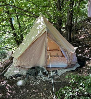 Vialas Other | Tipi Nature a l'Ombre des Tilleuls à Vialas en Cévennes