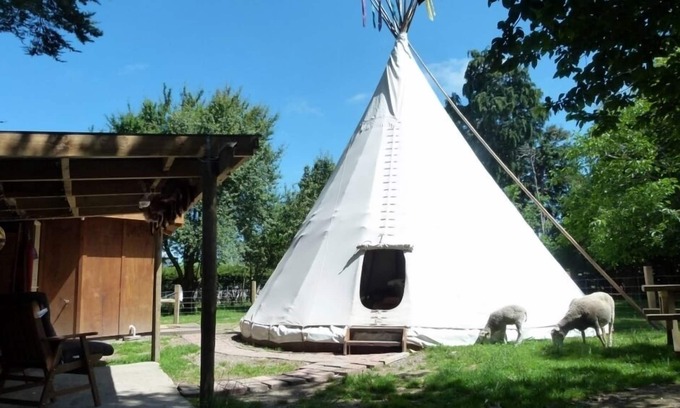 Kaikoura Bed & Breakfast | Tipi/Teepee - Wacky Stays = six UNIQUE rentals in Kaikoura