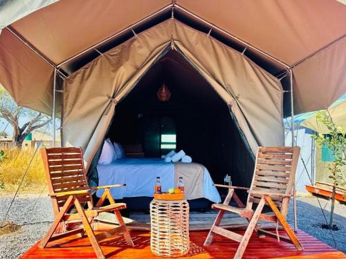 Pilanesberg National Park Other | Tlou Tribal Lodge
