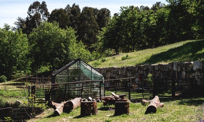 Vila Real Other | Tojeira - The perfect place to discover Trás-os-Montes and the Douro Valley