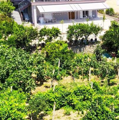 Mesopotam Apartment | Toma's Guest House