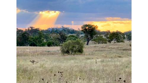 Goombungee House | Toowoomba Valley Views by Tiny Away
