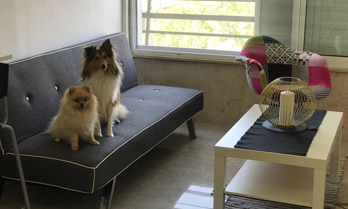 Kiryat Motzkin Apartment | Top Central place: Haifa - Akko - Beach: Real home