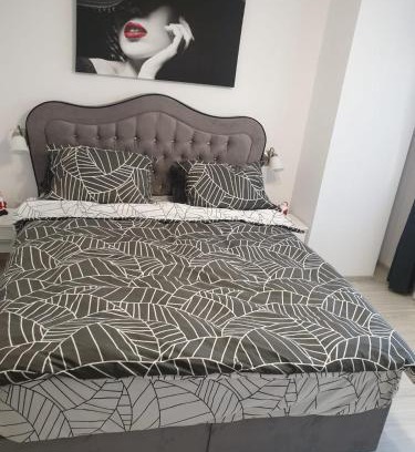 Bacau Apartment | Topaz Central Apartment