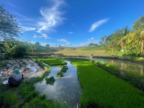 Bayawan City House | Toquero Family Farm