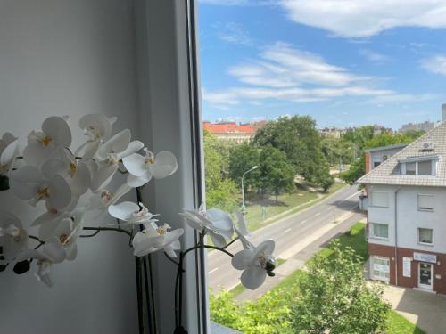 Hodmezovasarhely Apartment | Torony Apartman Hódmezővásárhely