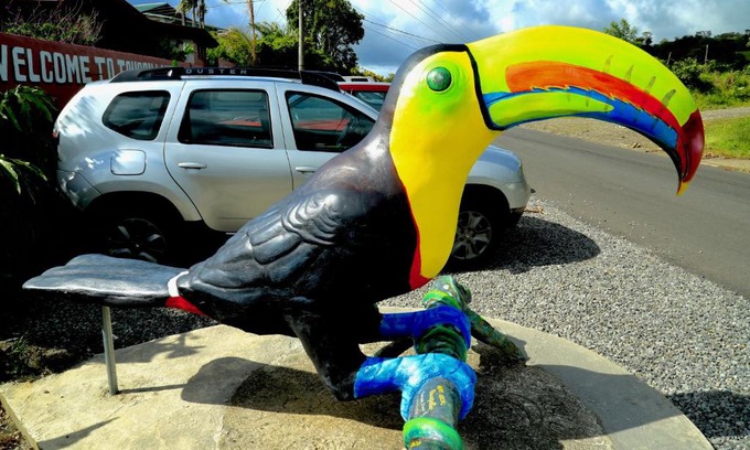 Arenal Hotel | Toucan Lane