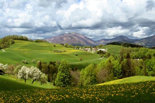 Gorenja vas-Poljane House | Tourist Farm Ljubica