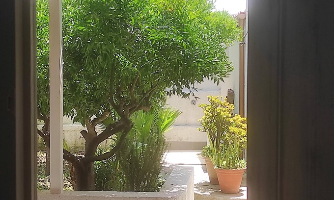 Birgi Vecchi House | Tourist lease