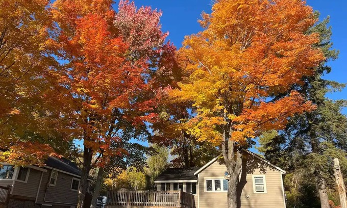 Bala Cottage | Traditional Cottage in Muskoka Lakes Bala