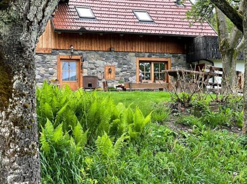 Vransko Apartment | Traditional Slovenian house