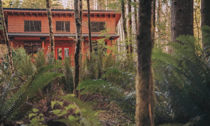 Juan de Fuca Electoral Area Cabin | Trailhead Guesthaus and Sauna on the Creek