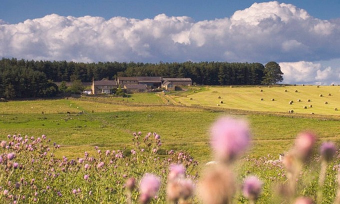 Haydon Bridge Cottage | Tranquil 3 Bed - All En Suite - Cottage in Hexham