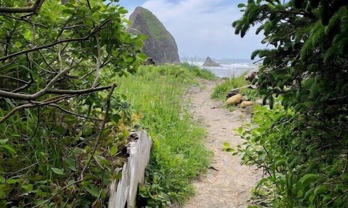 Arch Cape House | Tranquil Arch Cape Escape - Walk to the Beach!