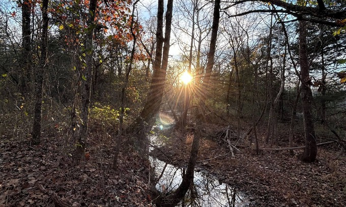Cherokee Village Cabin | Tranquil cabin with AC and 2 creeks on secluded 5 acres with WiFi