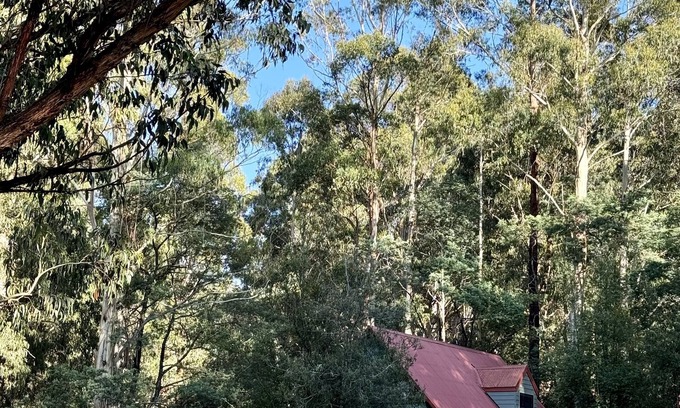 Icy Creek Cabin | Tranquil getaway amidst nature in Icy Creek, near Toorongo Falls & Mt Baw Baw.