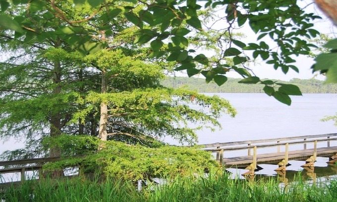 Ferriday Cottage | Tranquil Getaway - Fishing Haven