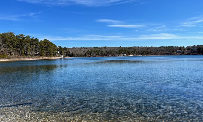 Forestdale House | Tranquil Oasis: A Beautiful Water-Front Home