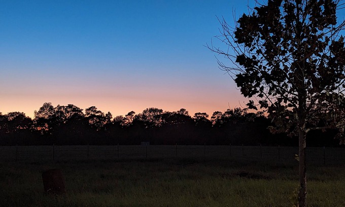 Rusk House | Tranquility East