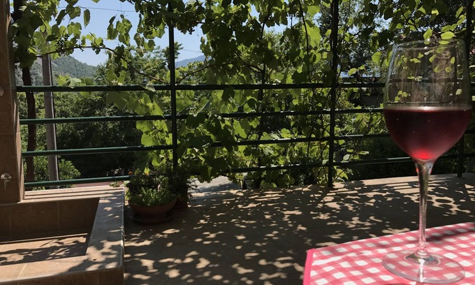 Risan Apartment | Tranquillity & comfort - spacious studio & terrace, relax under the vine canopy.