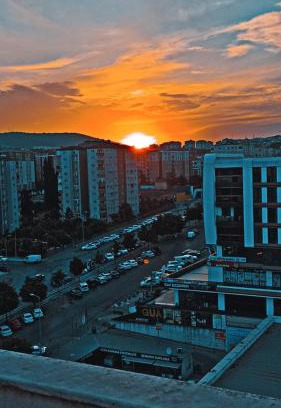Pendik House | Transit 77