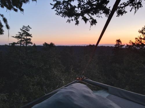 West Stayton Bed & Breakfast | Tree Climbing at Silver Falls