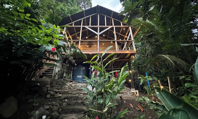 Isla Bastimentos Cabin | TREE FROG HOUSE: Waterfront, Caribbean Island Jungle Cabin in Bastimentos w/AC
