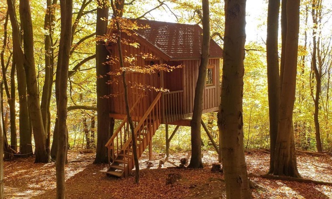 Solling Apartment | Tree house Ahletal, living/bedroom - Baumhaushotel Solling