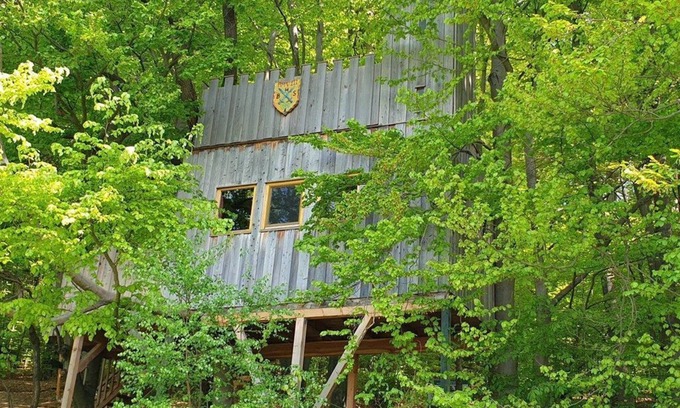 Solling Apartment | Tree house castle, living/bedroom - Baumhaushotel Solling