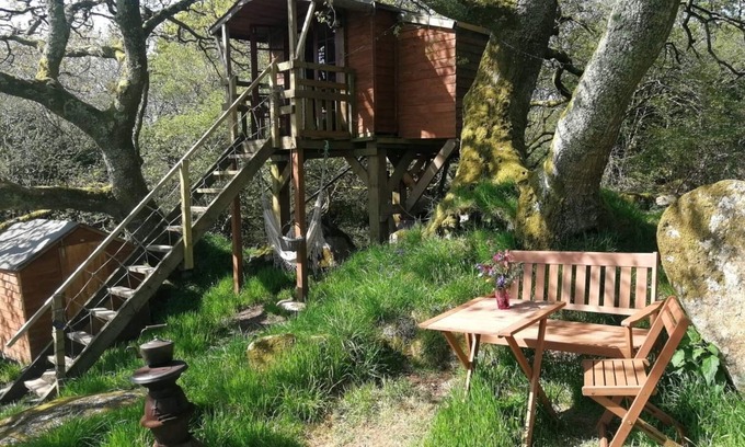 Lostwithiel Cabin | Tree House near Eden Project